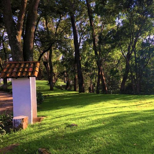 area-de-actividades
