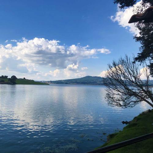 lago-2